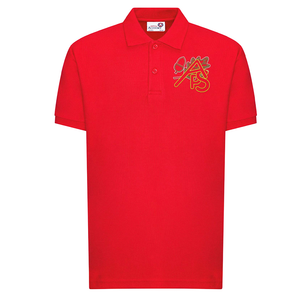 Acomb Primary School - Polo