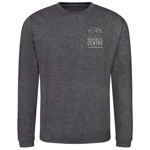 YC Charcoal Motor Vehicle Sweatshirt